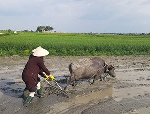 Experience one day as true farmer